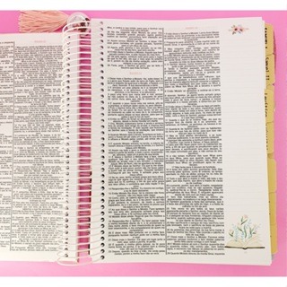 Biblia NVi da Garota