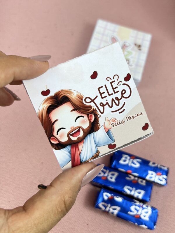 IMG_4362 embalagem para chocolates Bis